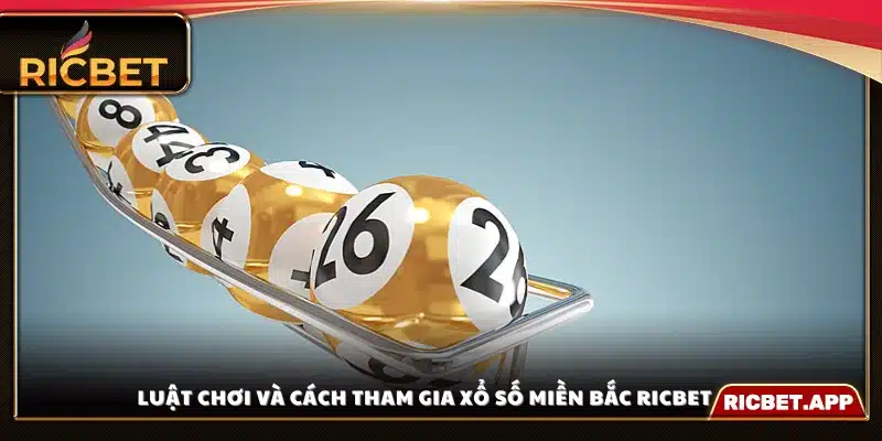 Hướng dẫn chi tiết cách chơi xổ số miền Bắc Ricbet